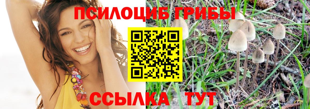 Звенигород  что такое наркотик  Вход с VPN  Псилоцибиновые грибы ЛСД 