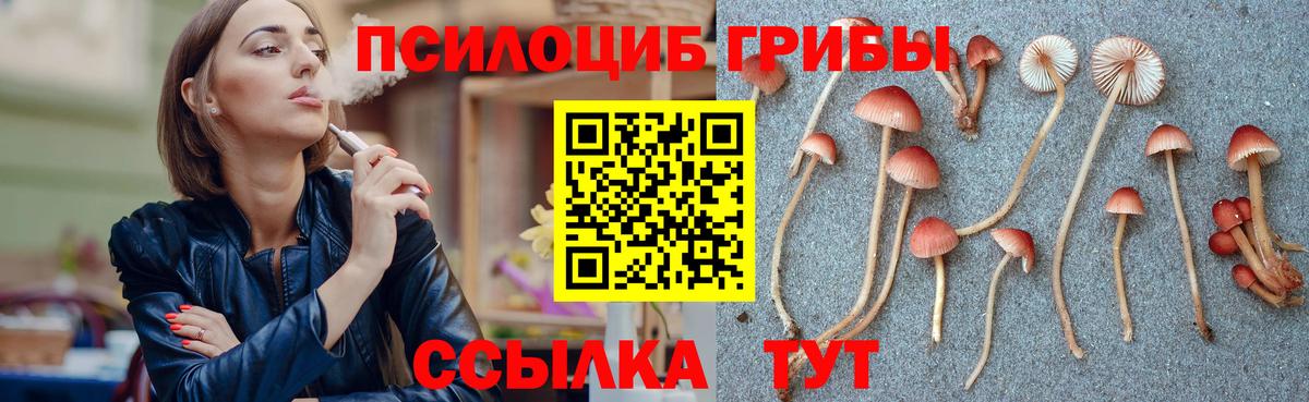 Alpha PVP Звенигород