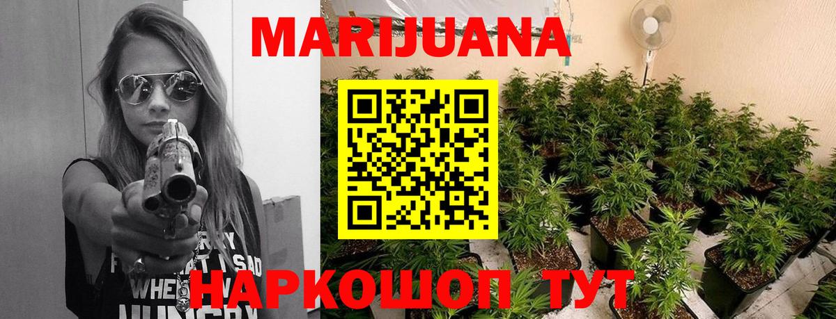 Конопля планчик Звенигород